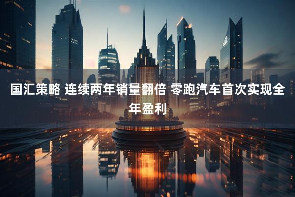 国汇策略 连续两年销量翻倍 零跑汽车首次实现全年盈利